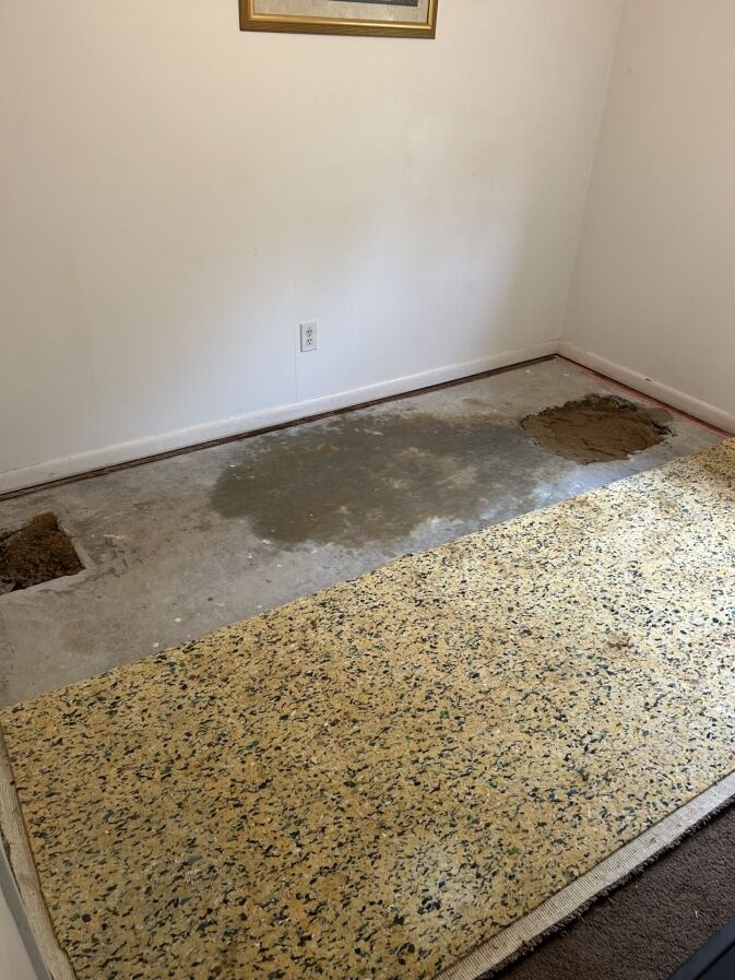 Room with partially removed carpet and padding, exposing concrete subfloor with two cut-out sections and a large discolored patch; framed picture on wall above.